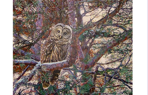 Among The Pines
