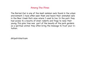 Among The Pines