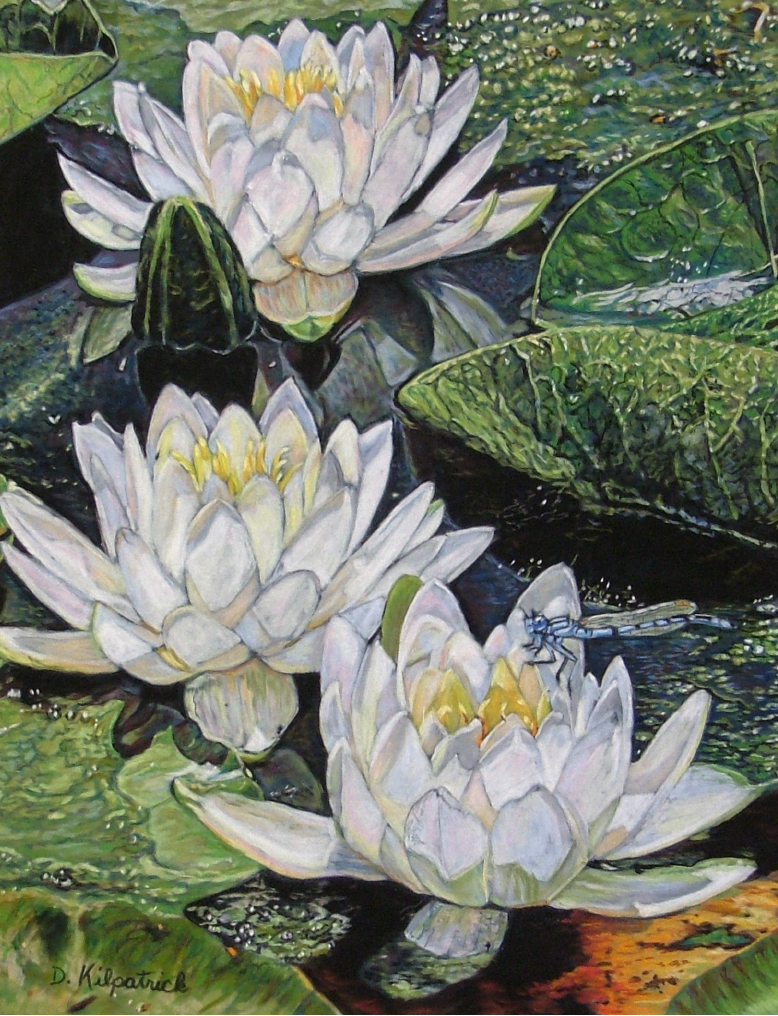 Blue Damsel on White Lily