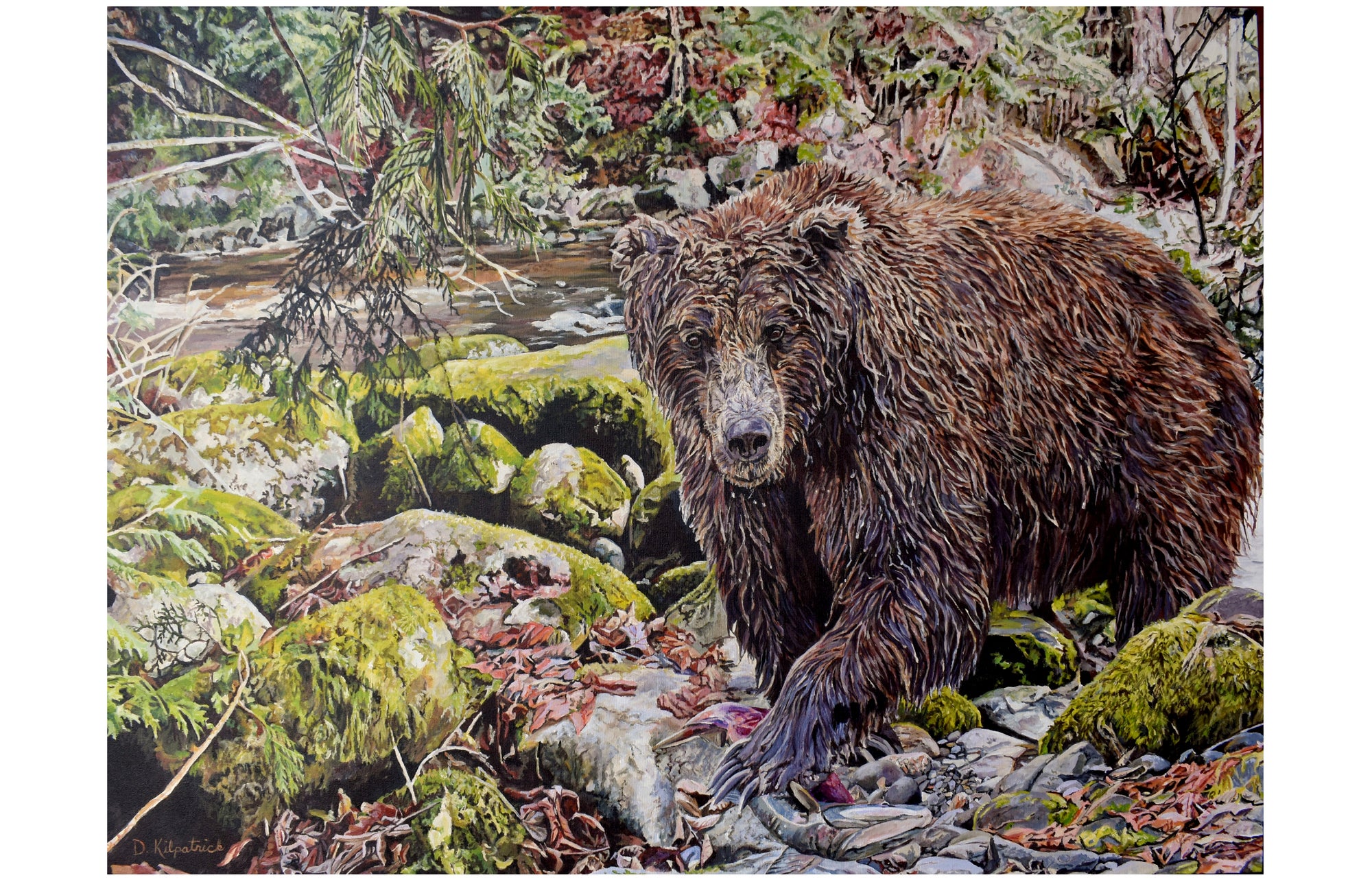Coastal Grizzly