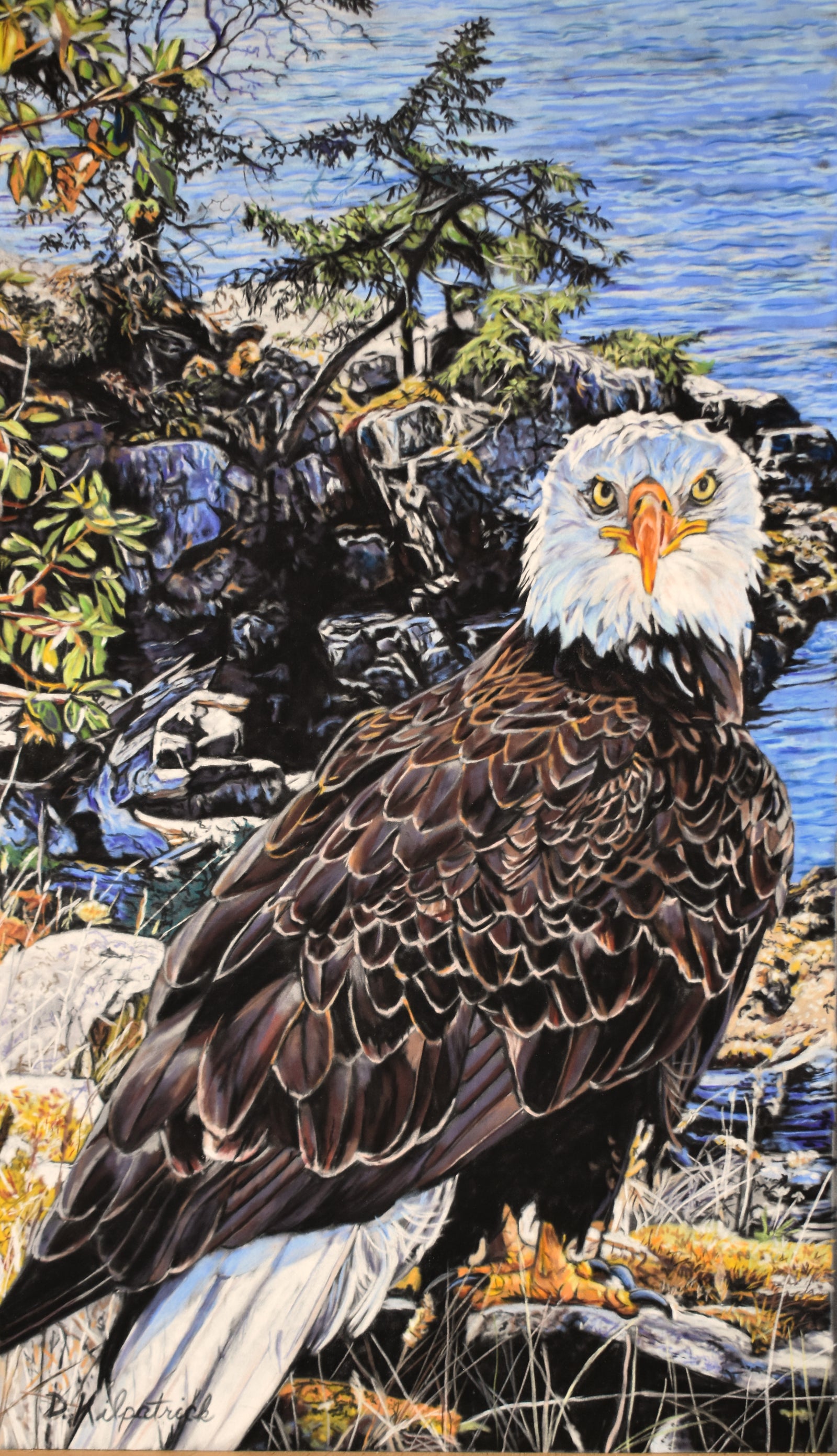 Eagle portrait