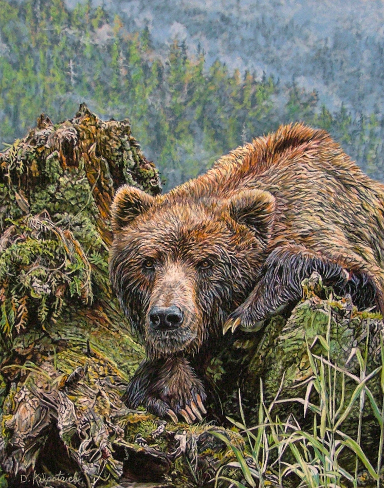 Khutzeymateen Grizzly