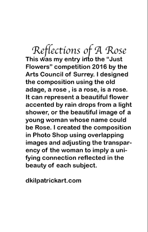 Reflections of A Rose